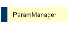 ParamManager